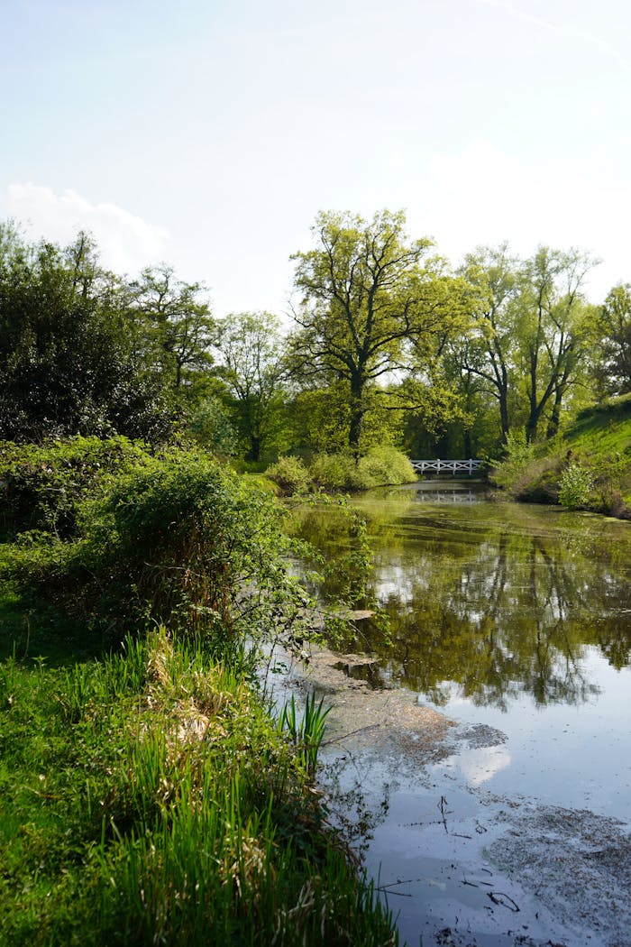 A tranquil spring scene of trees and a bridge reflected in a calm river in Rheda-Wiedenbrück.